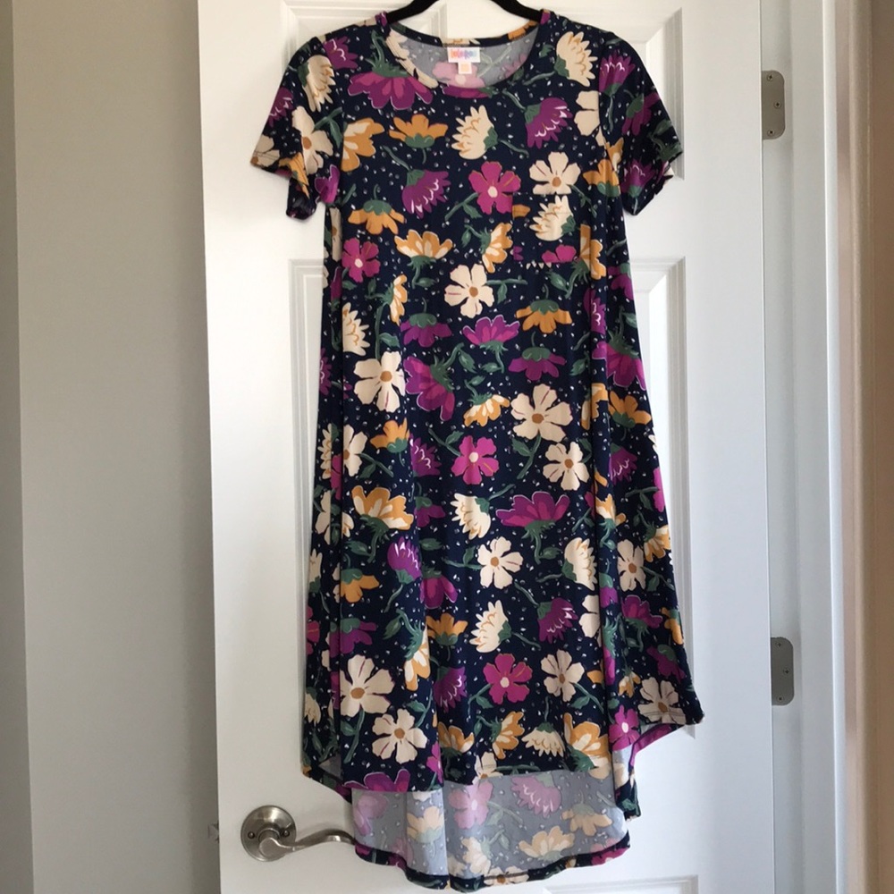 XXS Lularoe Carly dress
